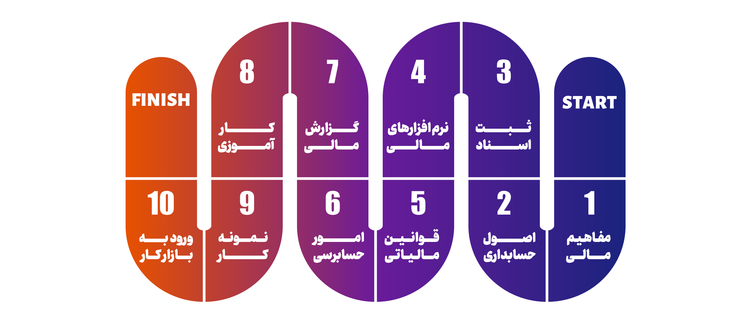 اینفوگرافیک مسیر شغلی حسابداری