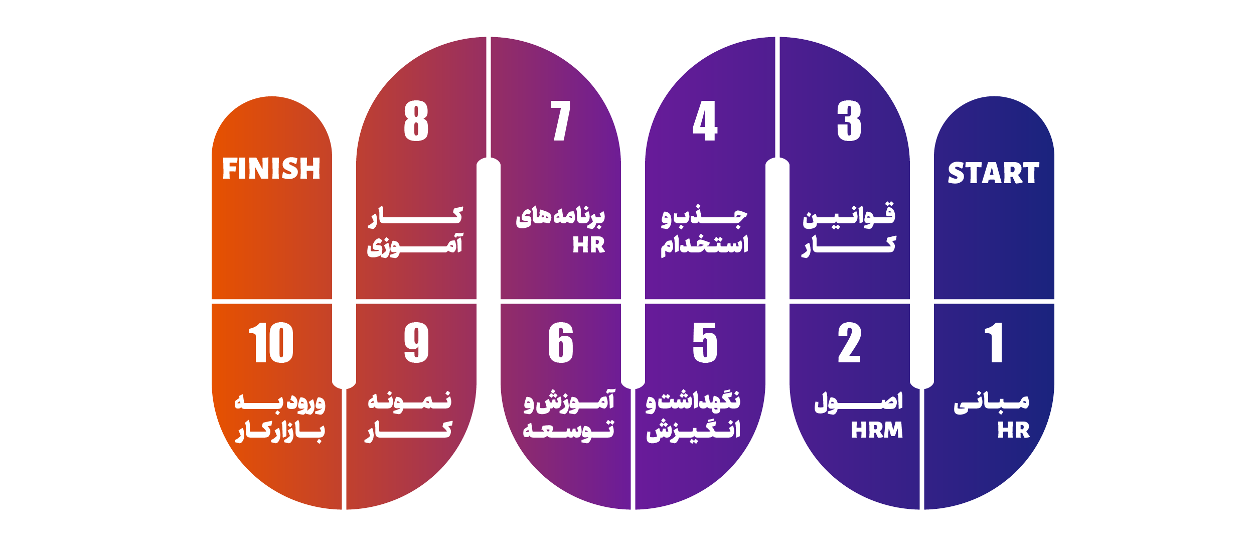 اینفوگرافیک مسیر شغلی منابع انسانی