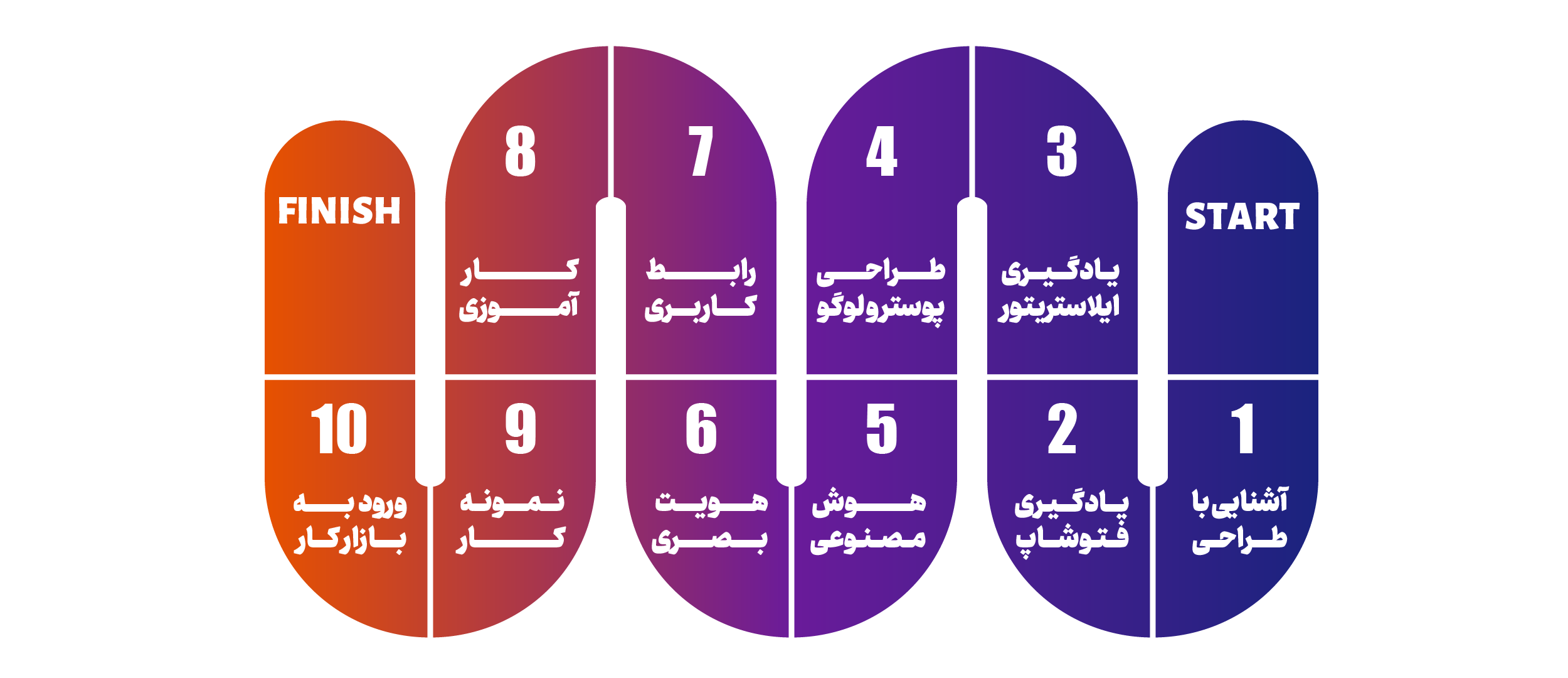 اینفوگرافیک مسیر شغلی گرافیک